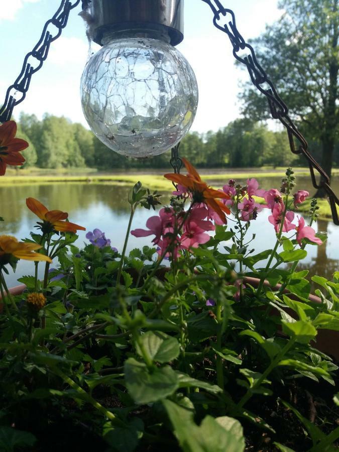 Country house Gazdu Vandens Malunas *